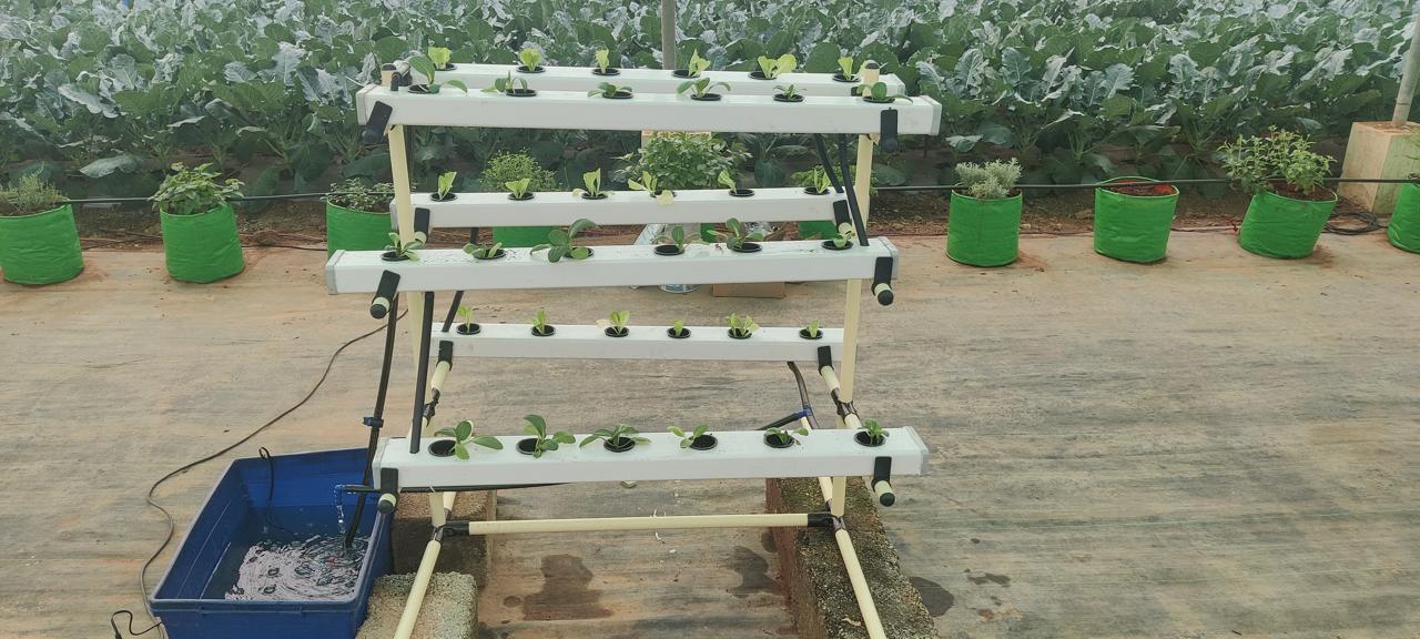 NFT A Frame Hydroponic Unit