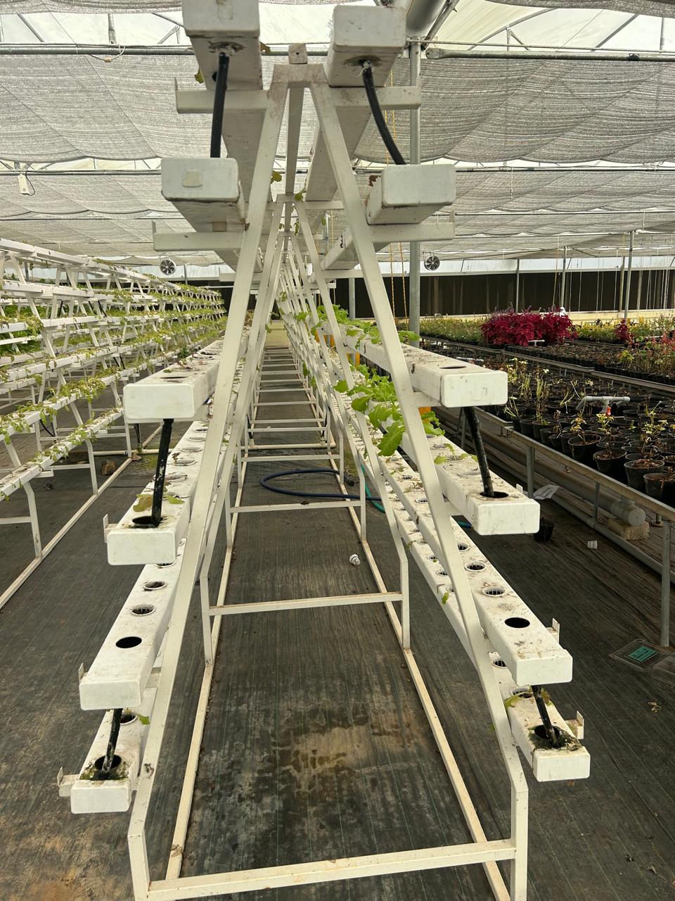 NFT A Frame Hydroponic Unit