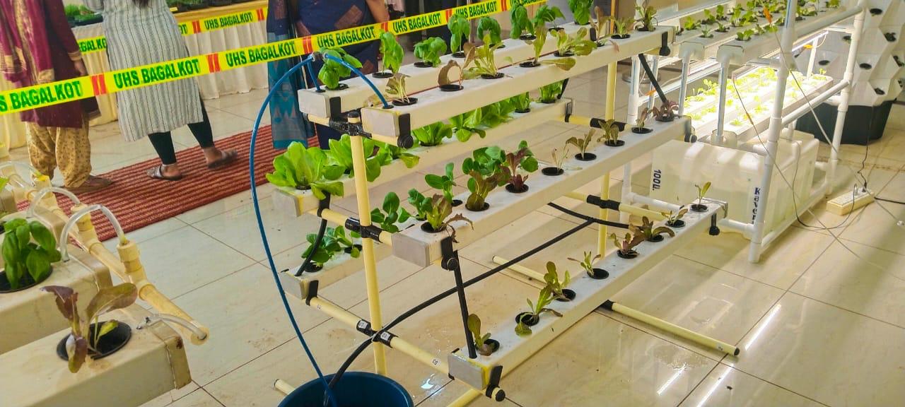 NFT A Frame Hydroponic Unit