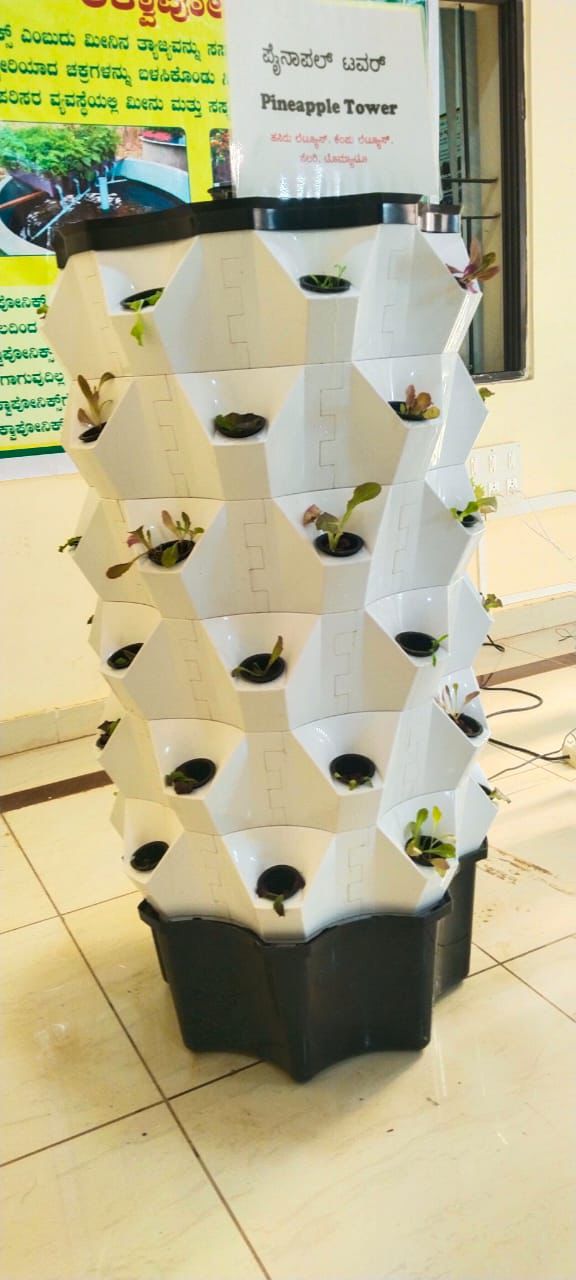 Hydro Tower Unit (Pineapple Tower)