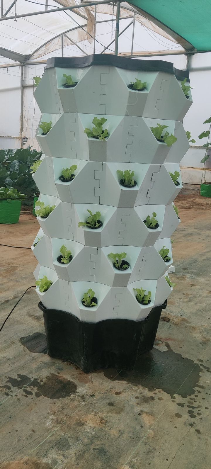 Hydro Tower Unit (Pineapple Tower)