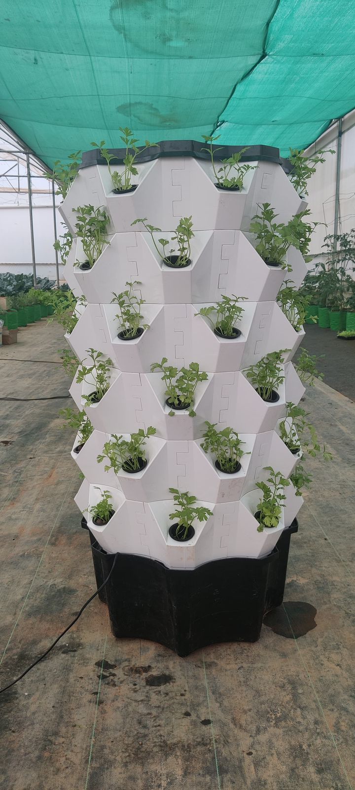 Hydro Tower Unit (Pineapple Tower)